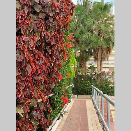 Jardines Del Sur, Ocean View Apartment Buzanada Exterior foto