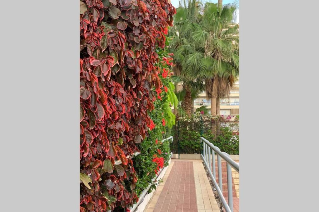 Jardines Del Sur, Ocean View Apartment Buzanada Exterior foto
